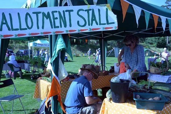 5. Allotment Stall.jpg